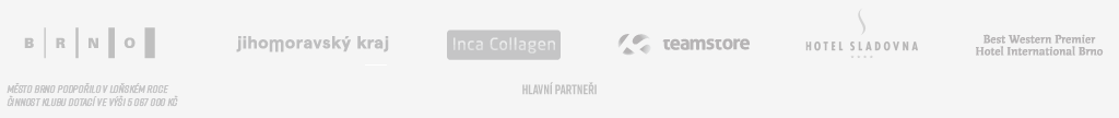 Hlavní partneři 2020